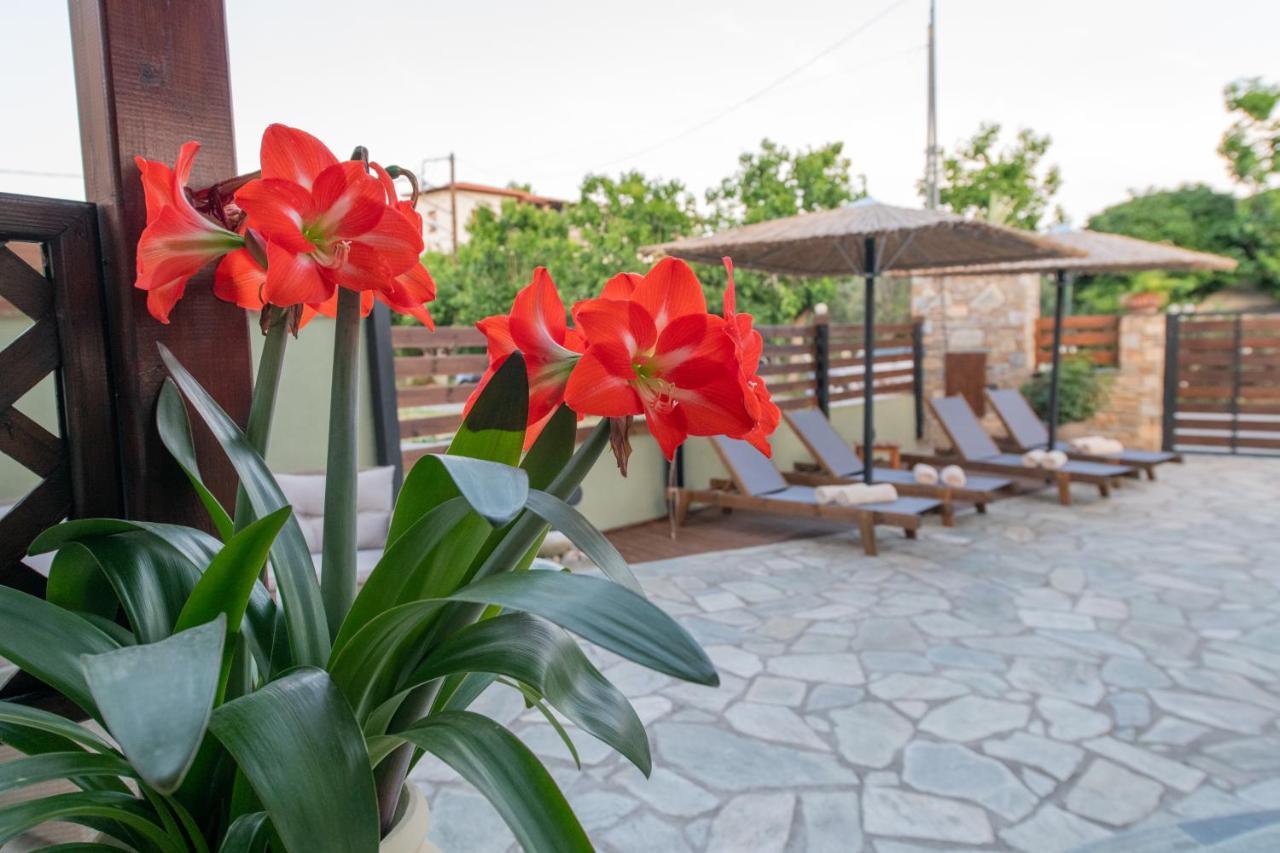 קאטו גצאה Villa Filyra מראה חיצוני תמונה